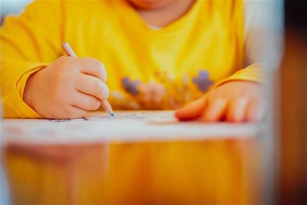 Brugen af tegninger i undervisningen