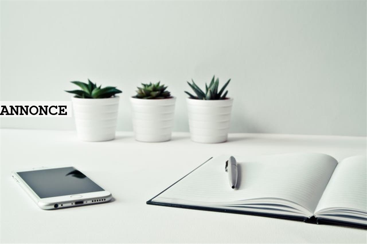 Ålborg en af de bedste byer at bo i